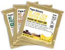NO JUNK Raw Protein Bars Sample Pack (Box of 10)  ALL VEGAN
